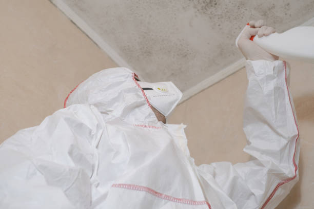 Best Commercial Mold Remediation in Omro, WI