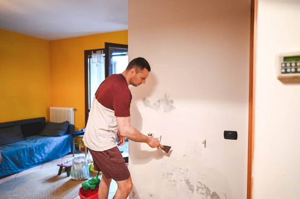 Best Post-Remediation Services in Omro, WI